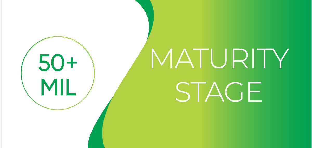 maturity stage late-stage capital raise