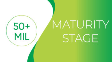 Business Maturity Stage