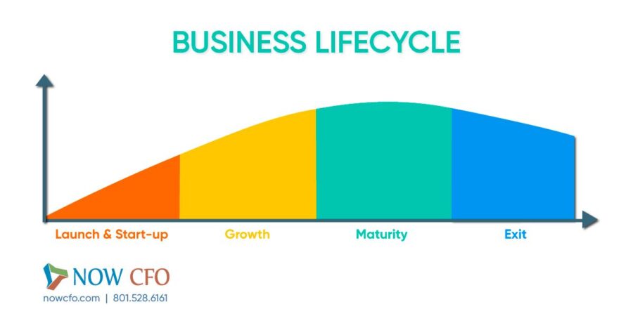 Business Lifecycle Diagram